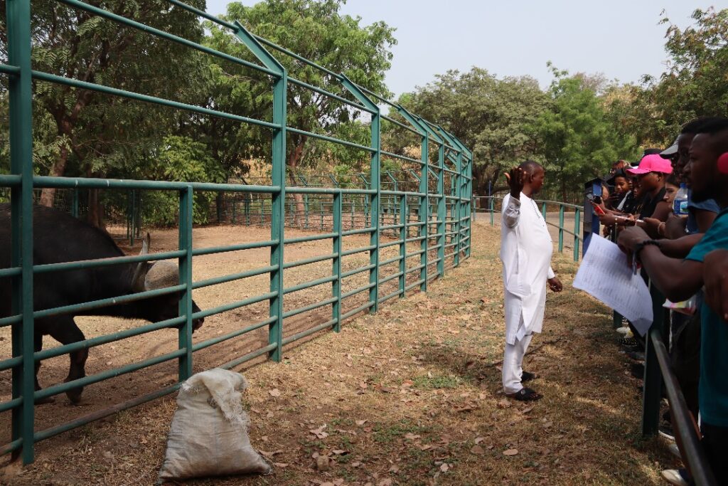 Exploration Nature : Les Élèves de 4ᵉ au Parc Zoologique d&rsquo;Abuja